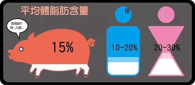 瘦肉补什么？