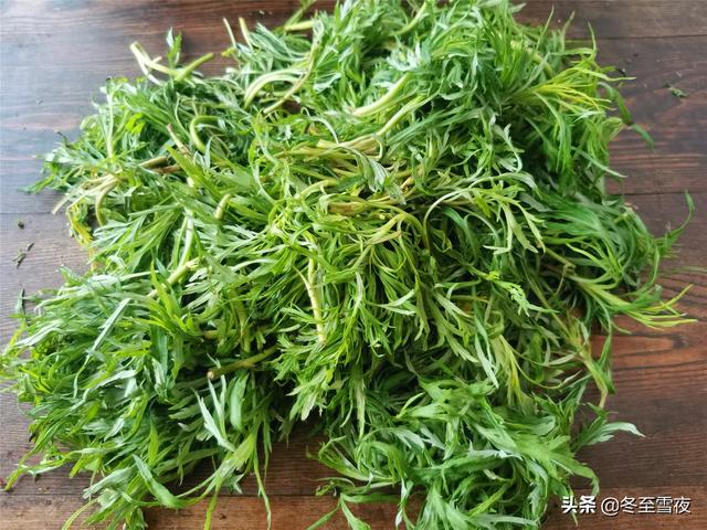 东北蕨菜能加工成什么？