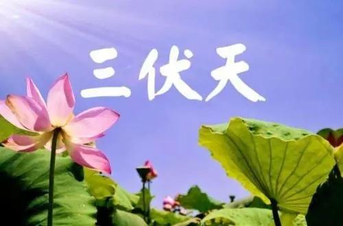 10月吃什么蔬菜？