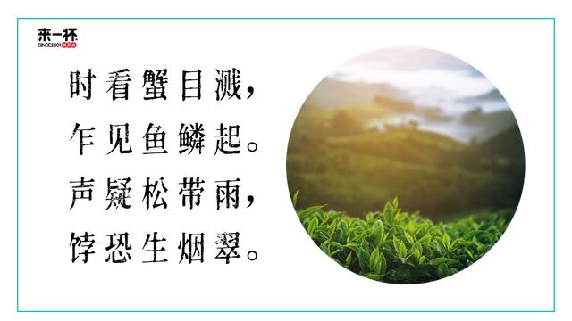 秋天喝什么茶最好？