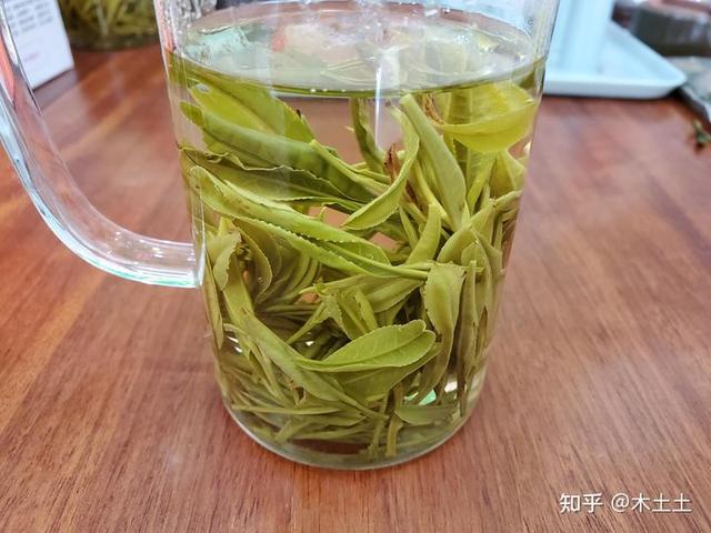 夏天喝什么茶比较好？