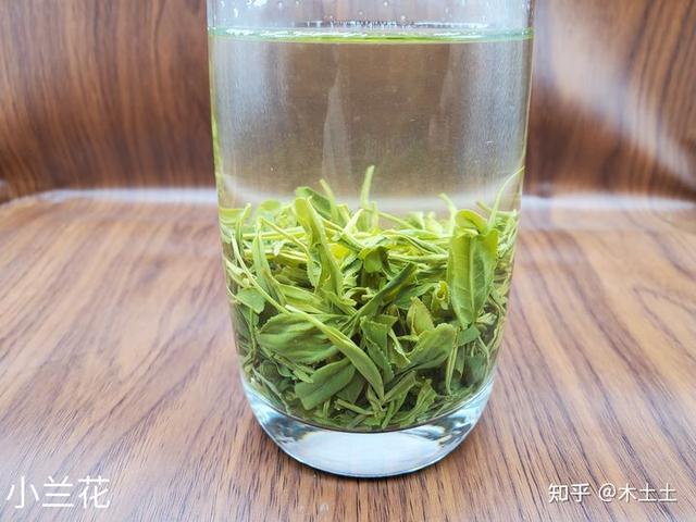 夏天喝什么茶比较好？