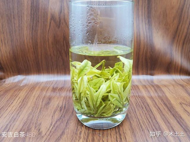 夏天喝什么茶比较好？