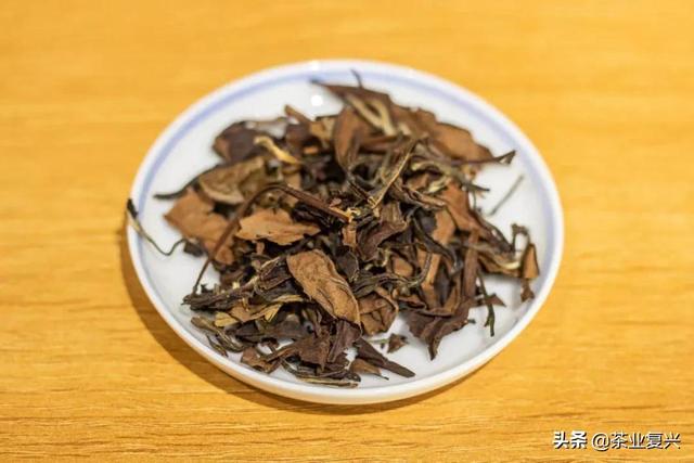 冬天喝什么茶？