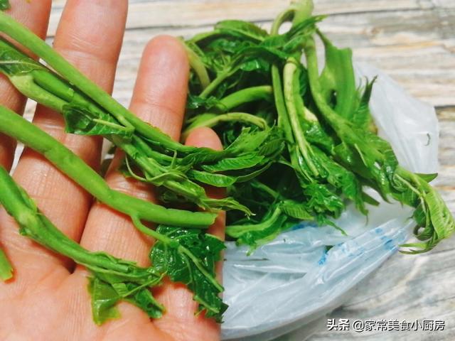 什么蔬菜可以冷冻？