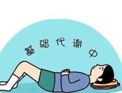 胆结石吃什么最好？