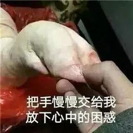 什么是鲜贝？