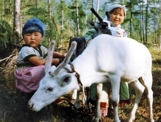 鹿肉怎么做好吃？