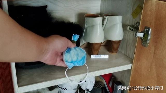 绿茶能和什么一起泡，绿茶能和什么一起泡水喝好