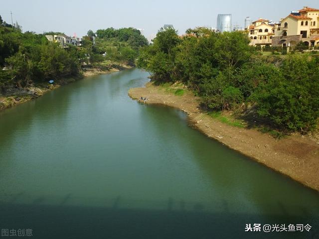 太阳鱼什么人忌吃，外来物种鱼