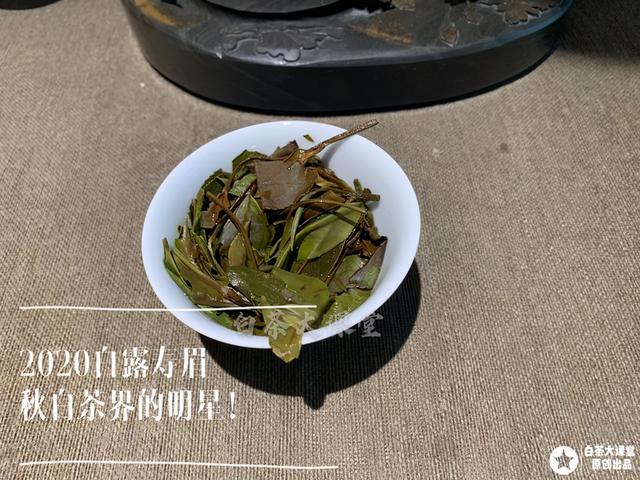 什么绿茶不苦，白茶苦不苦