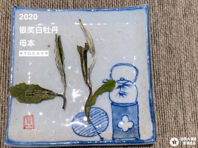 什么绿茶不苦，白茶苦不苦