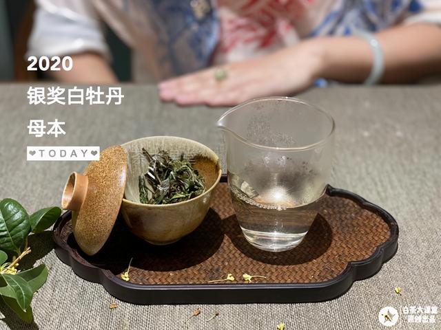 什么绿茶不苦，白茶苦不苦