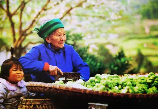 孩子榨菜又称什么，陵榨菜怎么念