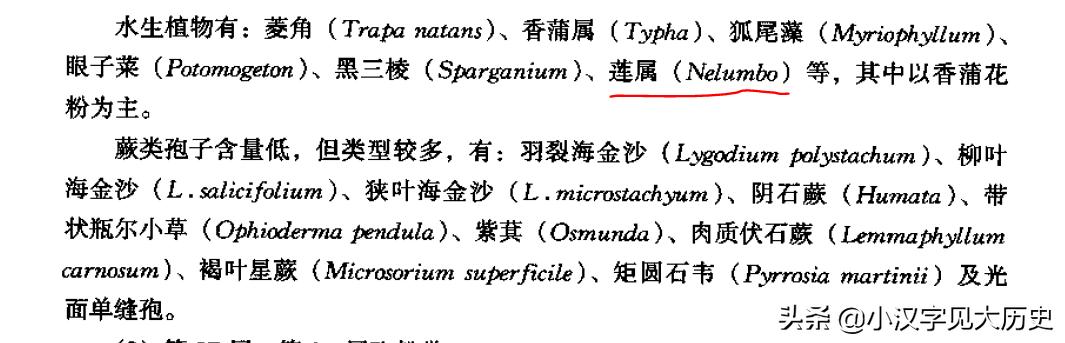 连藕出于泥的后面是什么，舌尖上的中国莲藕产地