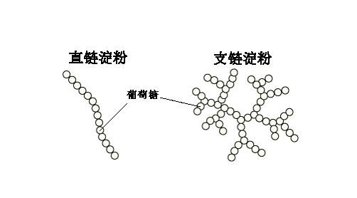 江米是什么米，糯米和大米有什么不同