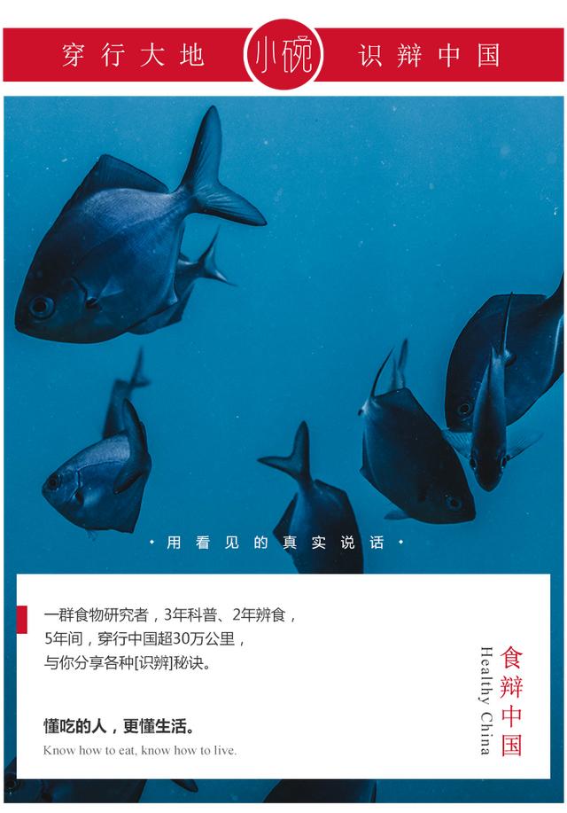 海带泡后起白色小泡是什么图片，海带表面的白霜需要洗掉吗