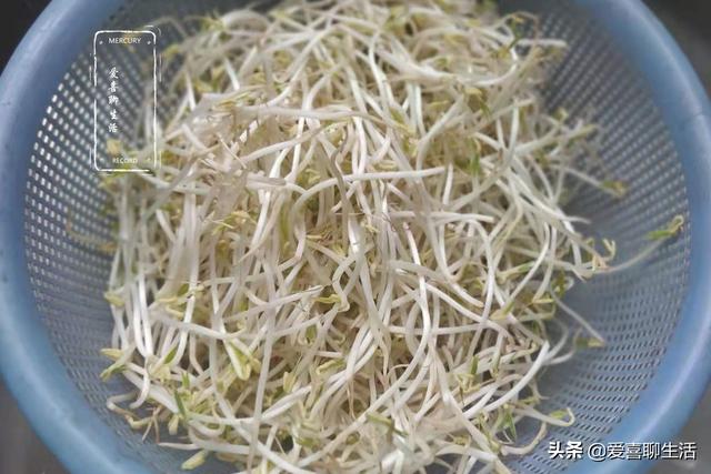 豆芽里面塞肉丝叫什么菜名，豆芽里塞肉丝叫什么名字