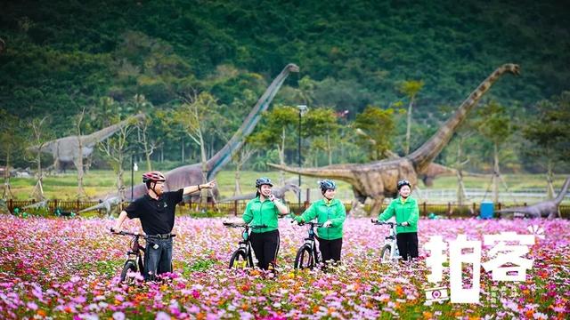 日月鱼煲什么好，来海南玩,你的旅游攻略要有这些