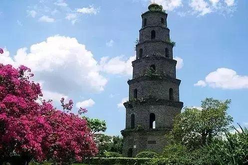 日月鱼煲什么好，来海南玩,你的旅游攻略要有这些