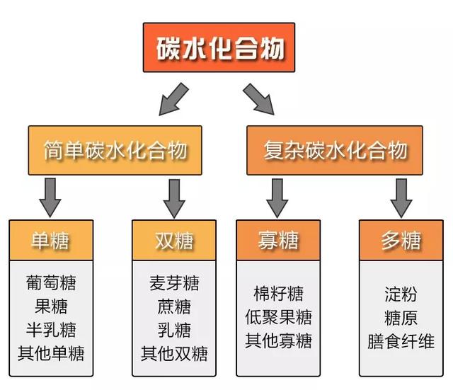 什么是碳水化合物食物，到底什么是碳水化合物食物