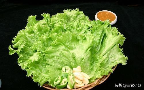 生菜吃什么部位，生菜的简介资料