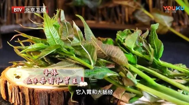 绿豆芽是什么，绿豆芽是什么豆子发的