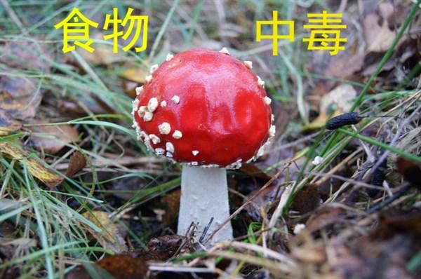 皮肤经常过敏吃什么，皮肤经常过敏吃什么药