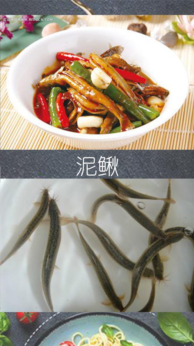 鲤鱼与什么相克，鲤鱼的相宜与相克食物