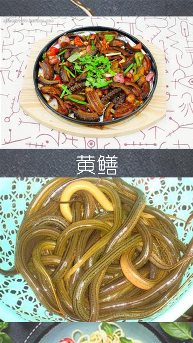 鲤鱼与什么相克，鲤鱼的相宜与相克食物