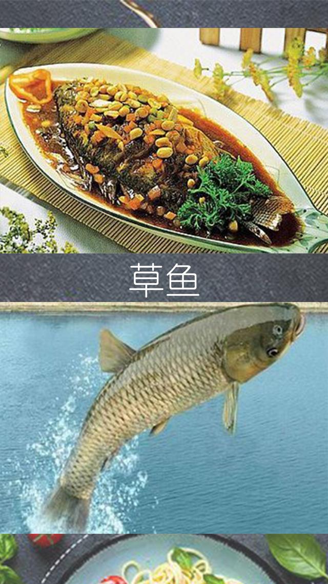 鲤鱼与什么相克，鲤鱼的相宜与相克食物