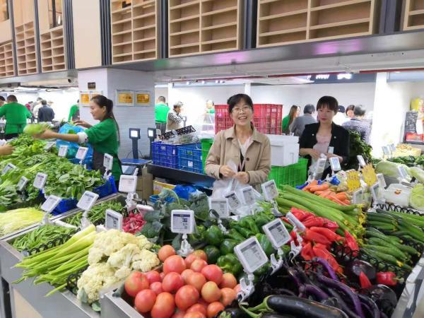 青菜先炒下装起来什么意思，炒青菜是什么