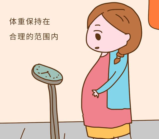 孕妇早期吃什么，老婆怀孕不能吃什么