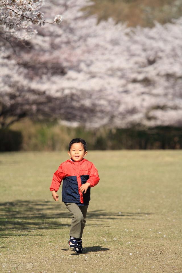 秋冬炖什么给小孩吃好呢，冬季适合炖什么给孩子吃