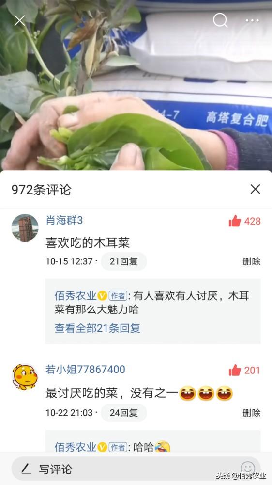 木耳菜为什么叫落葵，落葵是木耳菜吗