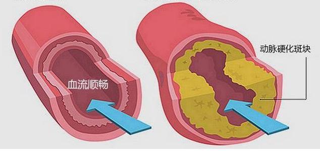 什么东西含维生素，什么东西含维生素b最多