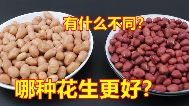 花生米的皮为什么不能吃，红皮花生米和白皮花生米哪个营养价值高