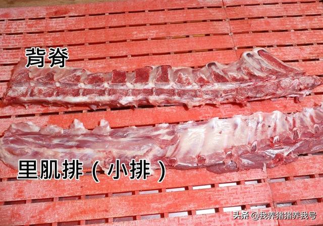 猪肉肉筋是什么样的，猪各部位肉的名称及做法