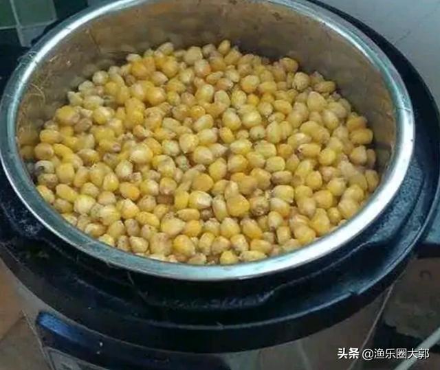 秋天鱼吃什么味，秋季鲤鱼喜欢什么味道饵料