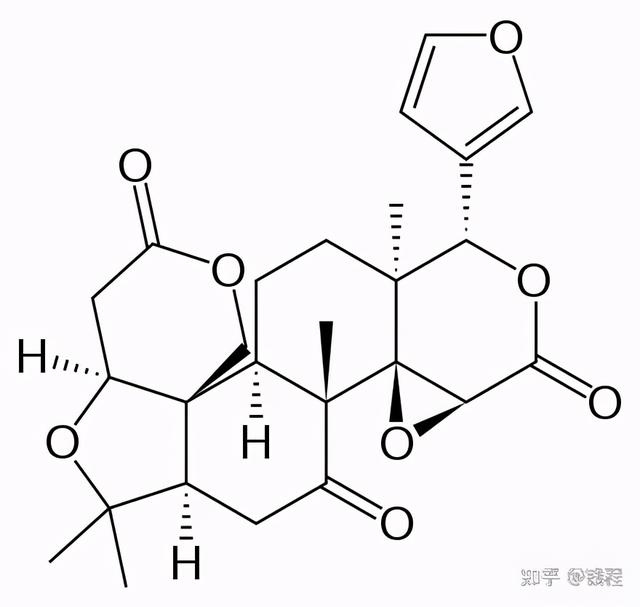 为什么蛋糕苦的，柠檬水泡时间长了发苦