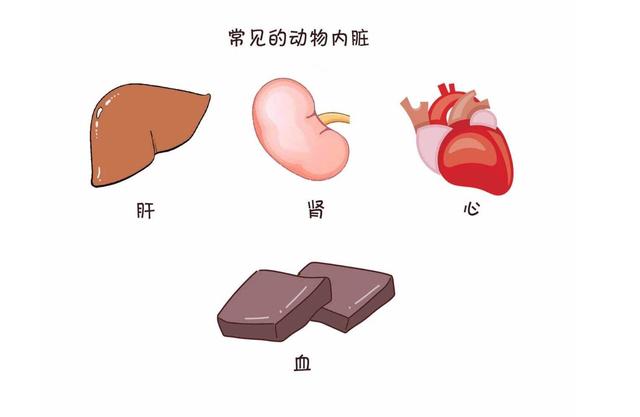 气血虚的人吃什么好，缺铁性贫血气血不足吃什么食物能补上来