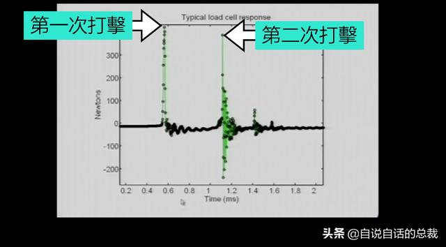 贝壳贝壳小虾在干什么，什么什么的小虾