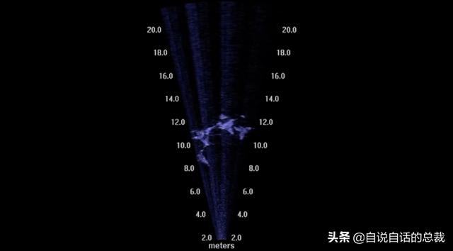 贝壳贝壳小虾在干什么，什么什么的小虾