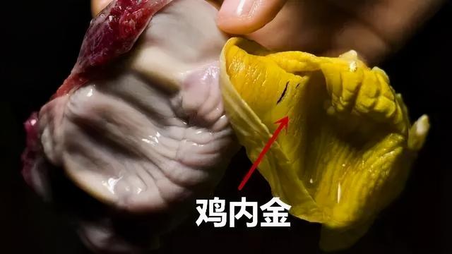 煲汤用什么鸡最有营养，鸡肉营养价值高吗