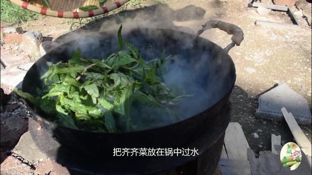 齐齐菜煮水喝有什么用，齐齐菜泡水喝功效