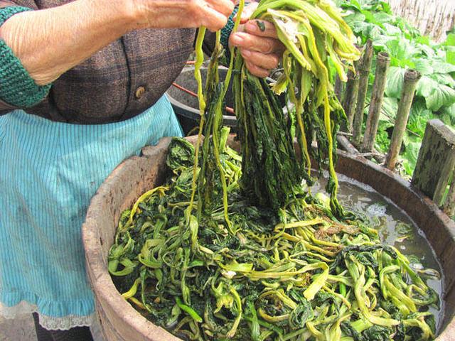 宜宾芽菜是什么做的，宜宾芽菜制作过程