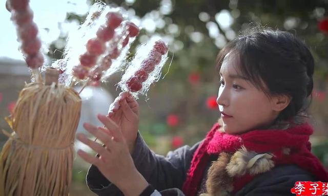 桔饼什么有卖，李子柒做年货小零食