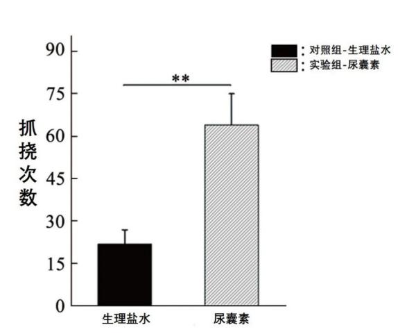 为什么山药皮去掉就黑了，为什么给山药削皮手会痒