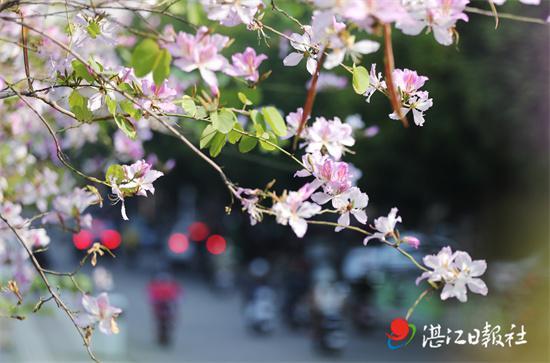 皮肤过敏能吃什么菜，春季皮肤季节性过敏怎么办