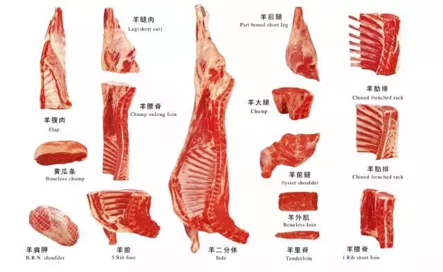 红烧羊肉用什么部位，羊肉各个部位适合做什么